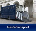 Hestetransport